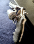 Preview: - Kopie